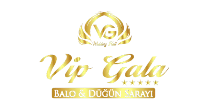 Vip Gala Logo